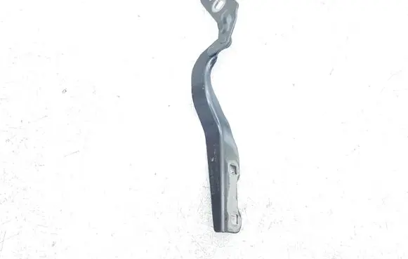 Ford Escape IV Engine bonnet/hood hinges LJ6BS16800 LJ6BS16800AB 214MCD8E