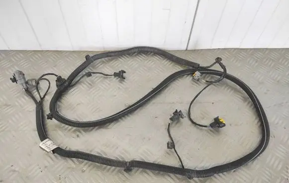 Peugeot 508 Other wiring loom 9670748580 420238