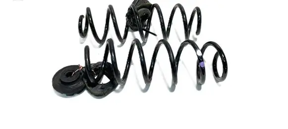 Rear coil spring