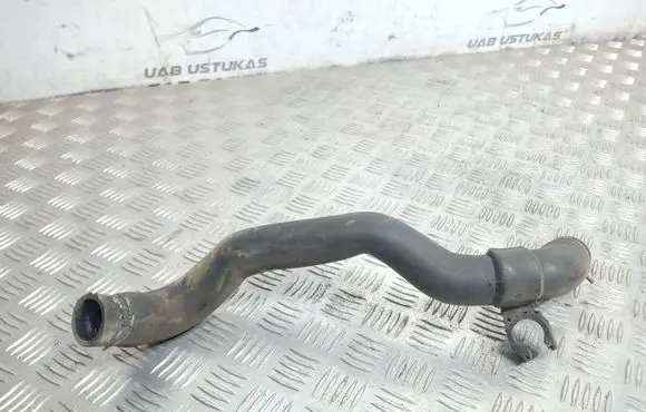 Renault Kangoo I Engine coolant pipe/hose