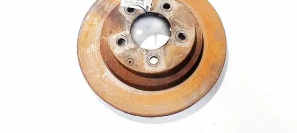 Porsche Cayenne (9PA) Rear brake disc ventiliuojamas