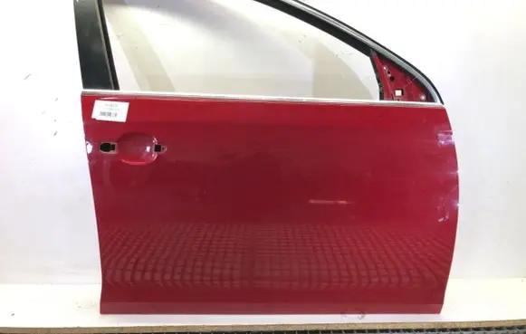 Volkswagen Golf VI Front door