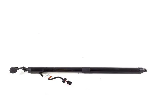 Tailgate strut