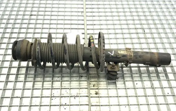 Skoda Roomster (5J) Front shock absorber/damper