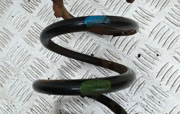 Rear coil spring