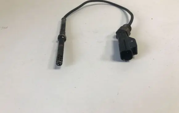 Volvo XC60 Exhaust gas temperature sensor 6G9N12B591FA