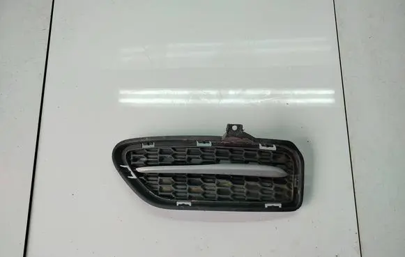 BMW Z4 E89 Front bumper lower grill 7262829