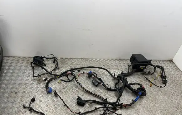 Other wiring loom