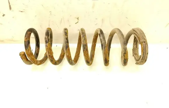 Rear coil spring