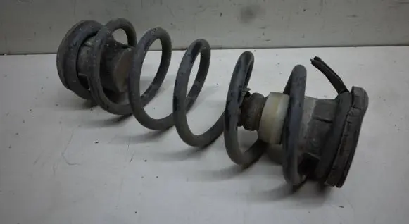 Rear coil spring