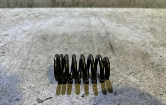 Dodge Challenger Valve spring 