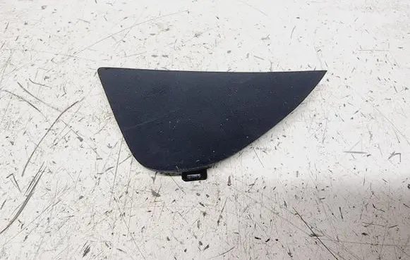 Other front door trim element