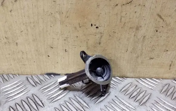 Front door high frequency speaker
