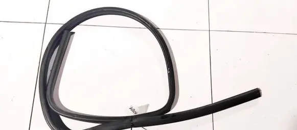 Chrysler Grand Voyager IV Rubber seal front coupe door 
