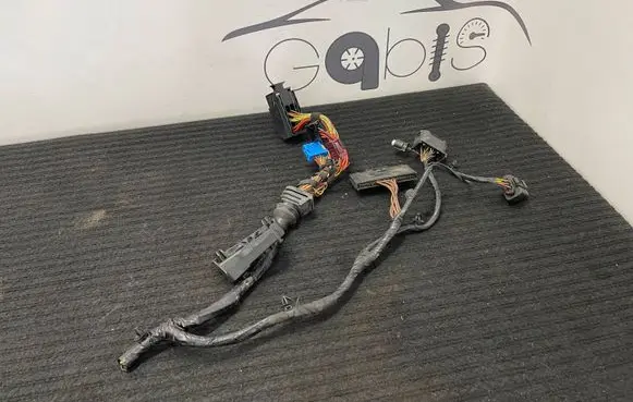 BMW X5 F15 Other wiring loom 7788125 19324558 7597029