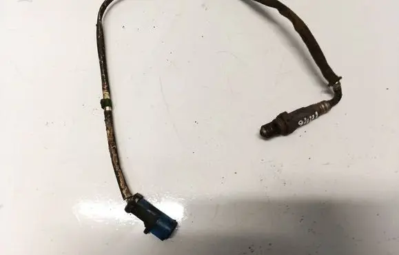 Ford Focus Lambda probe sensor 