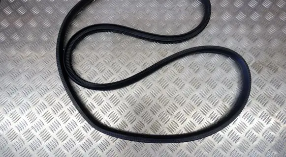 Tesla Model Y Rear door rubber seal (on body) 