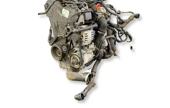 Volkswagen Golf VI Engine CAYC