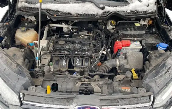 Ford Ecosport Engine swap 