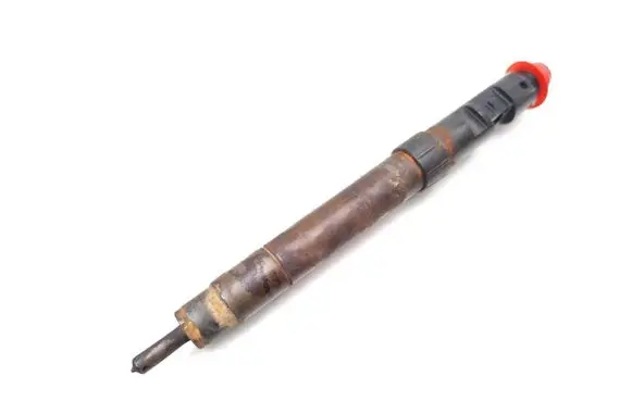 Ford S-MAX Fuel injector 9686191080 EMBR00101D