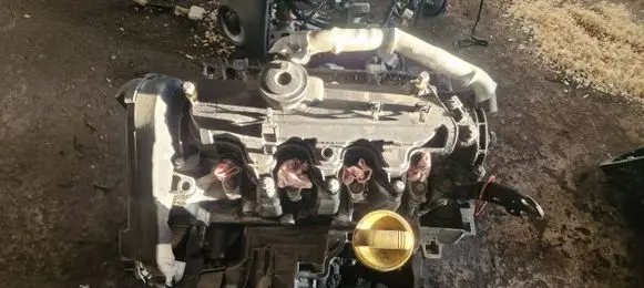Nissan Juke I F15 Engine 19733R