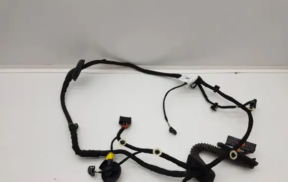Front door wiring loom