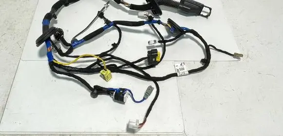 Front door wiring loom
