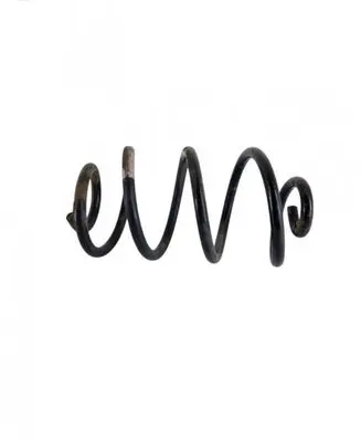 Rear coil spring