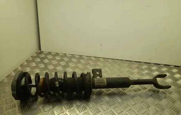 BMW 5 GT F07 Front shock absorber with coil spring 31316795445