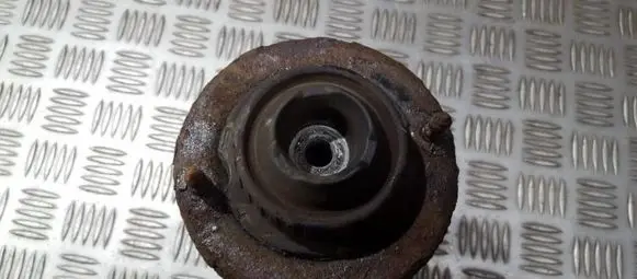 Coil spring mount