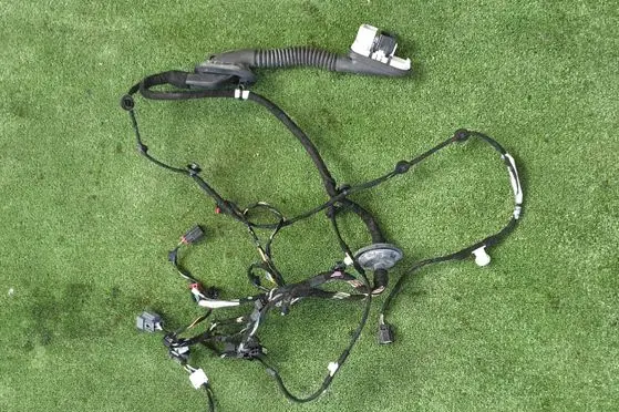 Ford Explorer VI Front door wiring loom/harness boot N1MT-14630-BEB