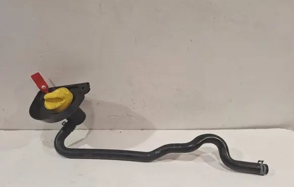 Renault Trafic III (X82) Oil fill pipe 8200795333