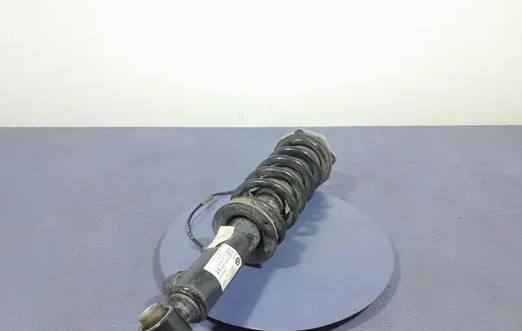 BMW X3 E83 Rear shock absorber/damper 6887152