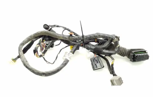 KIA Sportage Front door wiring loom 916003U020