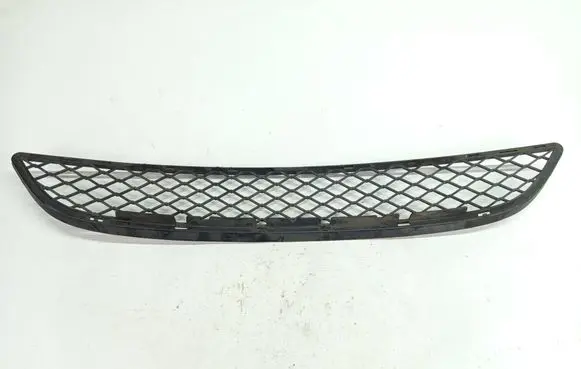 BMW X6 E71 Front bumper lower grill 7176282 10503410