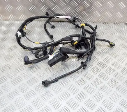 Tesla Model 3 Other wiring loom 106876700E