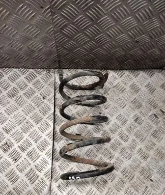 Rear coil spring