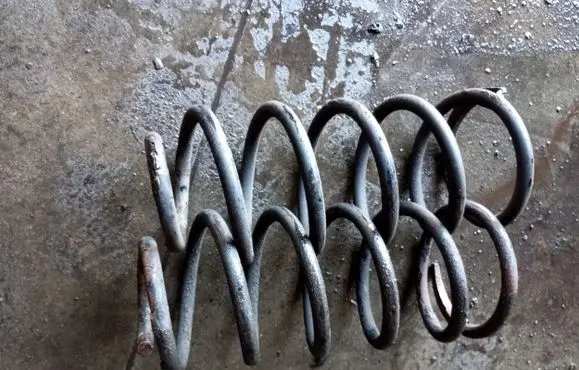 Toyota Land Cruiser (J120) Rear coil spring