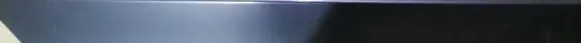 Honda Insight Rear door glass trim molding