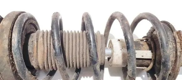 Chevrolet Lacetti Rear coil spring