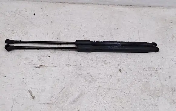 Citroen C3 Tailgate hydraulic set 9813177780