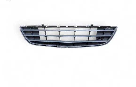 Front bumper lower grill