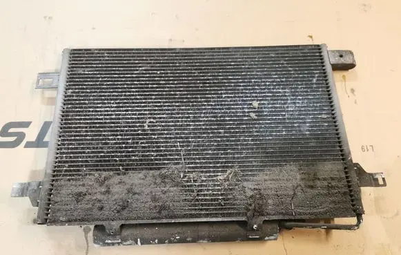 Mercedes-Benz B W245 A/C cooling radiator (condenser) A1695000354