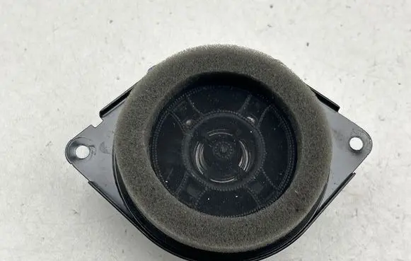 Panel speaker