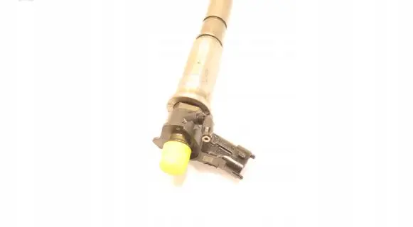 Renault Laguna III Fuel injector 0445115007