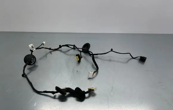 Hyundai Santa Fe Rear door wiring loom 916602W031