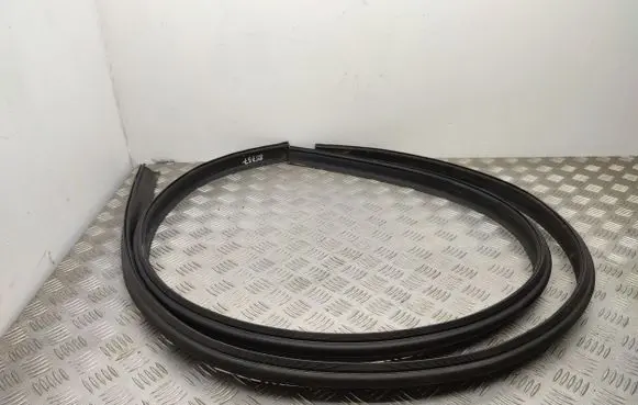 Trunk rubber seal (body)