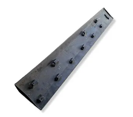Renault Scenic III - Grand scenic III Front door trim (molding) 801860006R