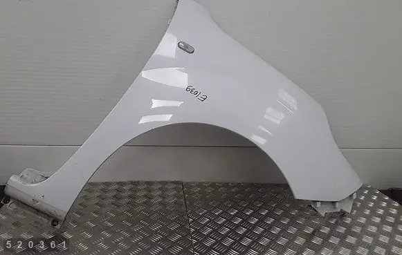 Renault Kangoo II Fender 