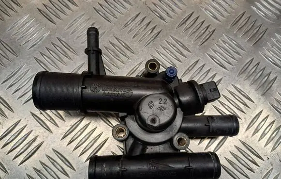 Thermostat/thermostat housing